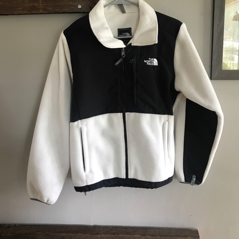 The north face jacket